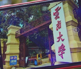 云南大学毕业证(云南大学毕业证外壳)