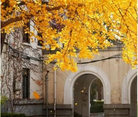 北京科技大学天津学院是公办还是民办