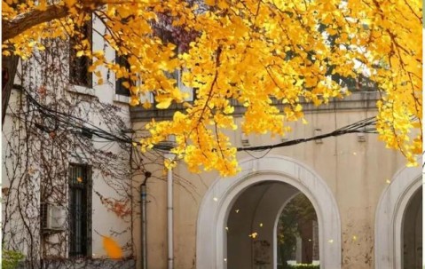 北京科技大学天津学院是公办还是民办