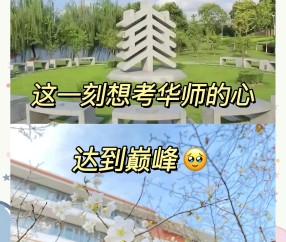 华东师范大学(华东师范大学是985还是211)