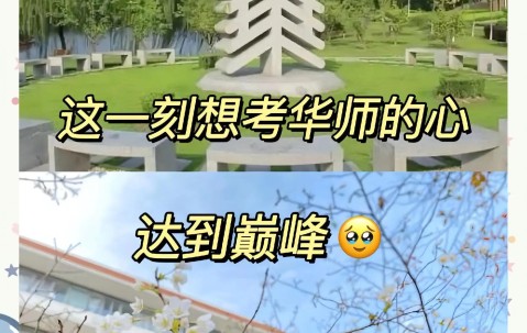华东师范大学(华东师范大学是985还是211)