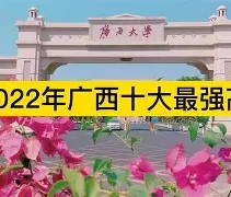 广西大学文凭认可度高吗