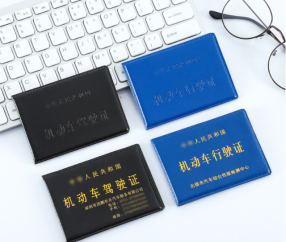 驾驶证行驶证