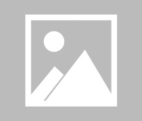 四川大学锦江学院官网