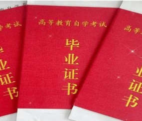 武汉理工大学文凭报考条件