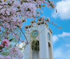 西南财经大学天府学院