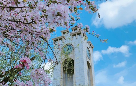 西南财经大学天府学院