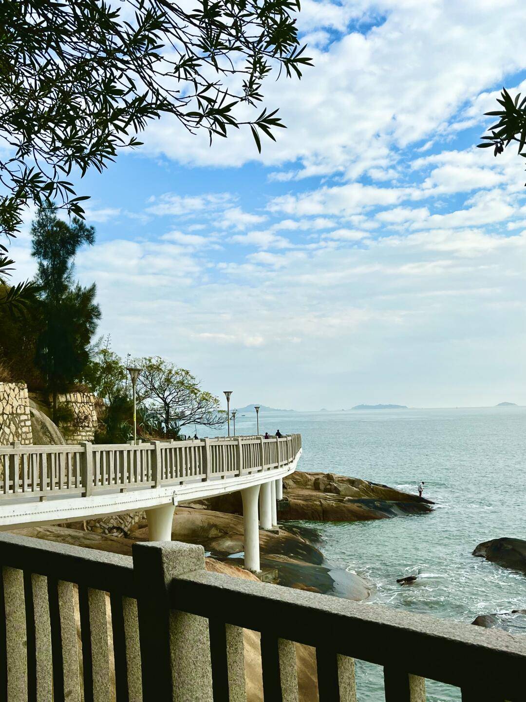 厦门大学(厦门大学是211还是985)