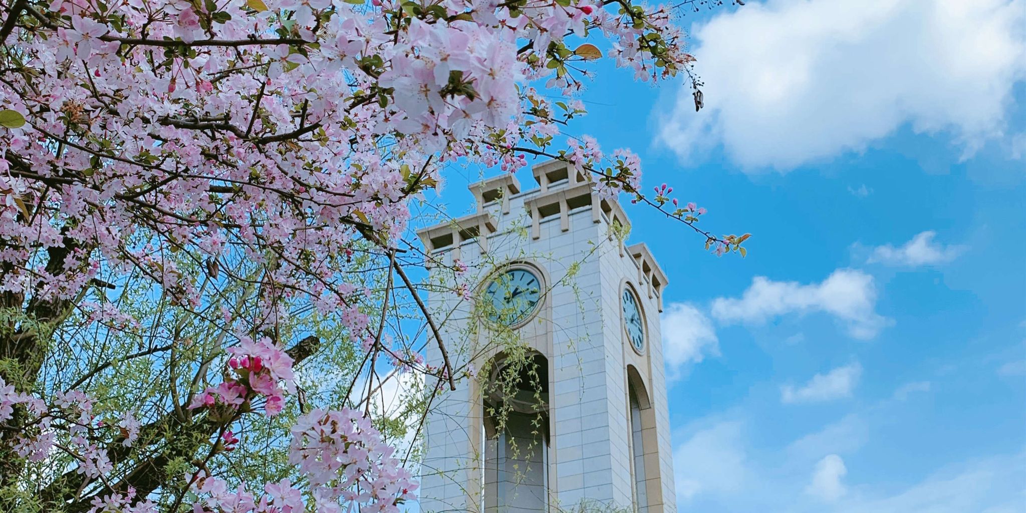 西南财经大学天府学院