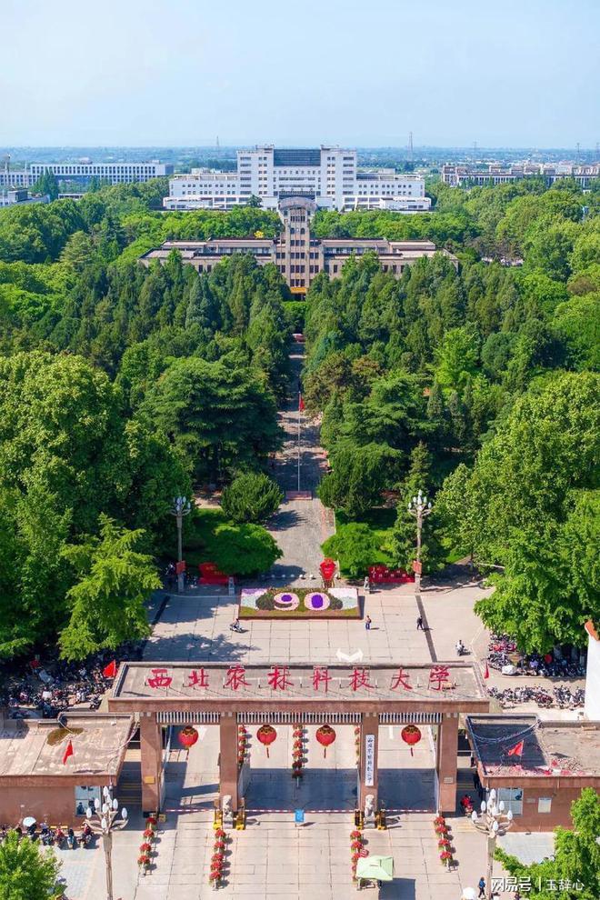 西北农林科技大学邮箱