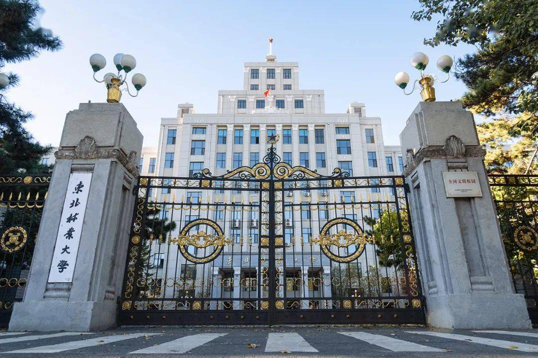 东北林业大学邮箱