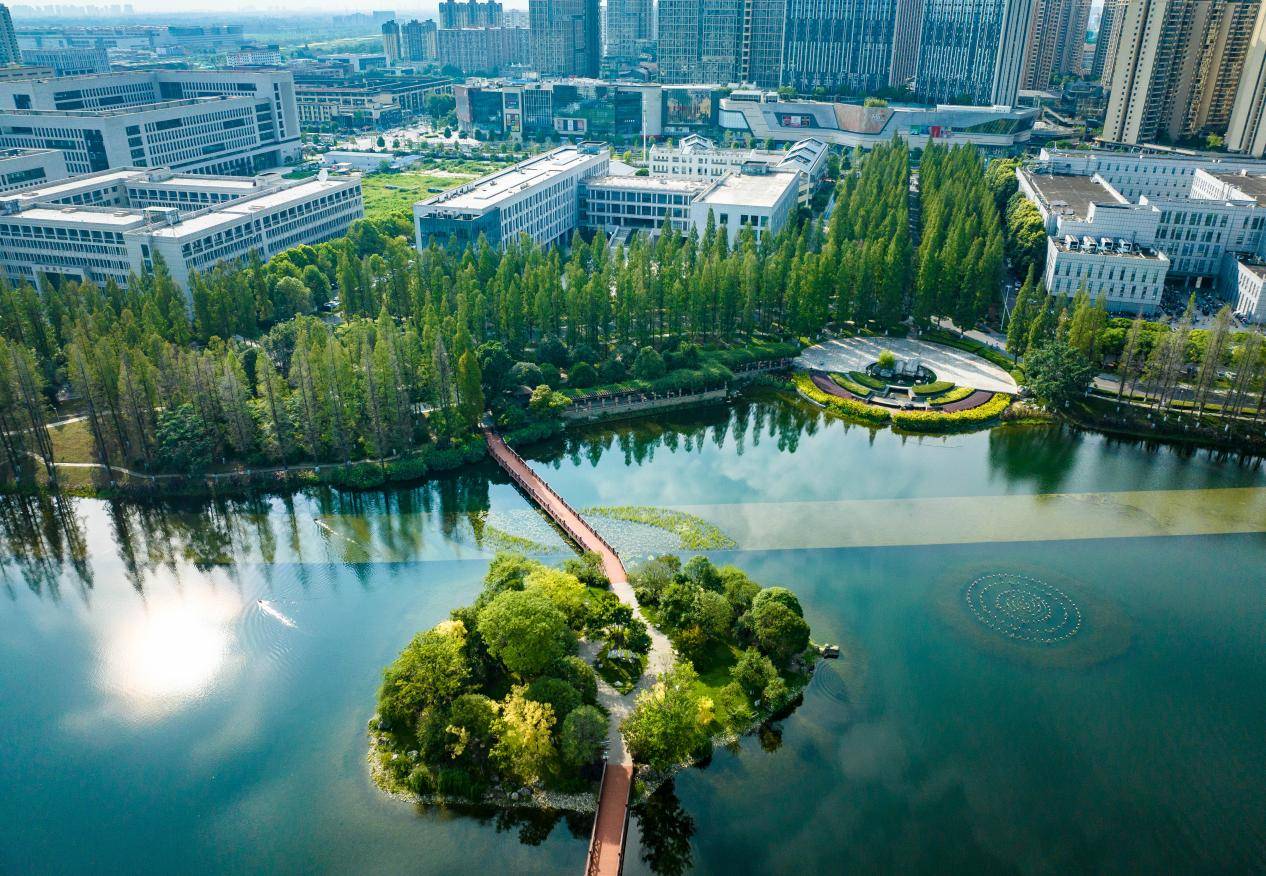 电子科技大学录取线2025
